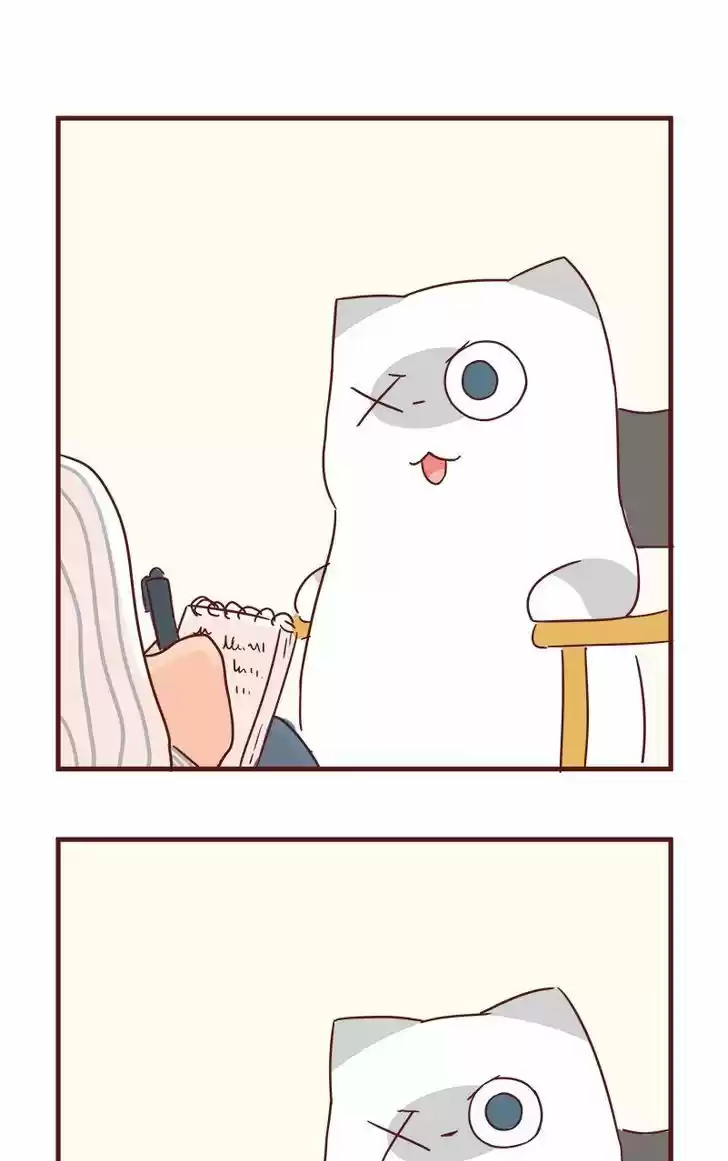 Saphie: The One-Eyed Cat 40