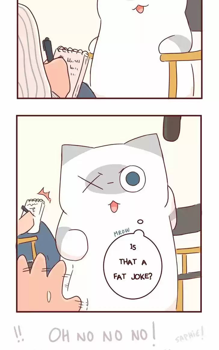 Saphie: The One-Eyed Cat 40