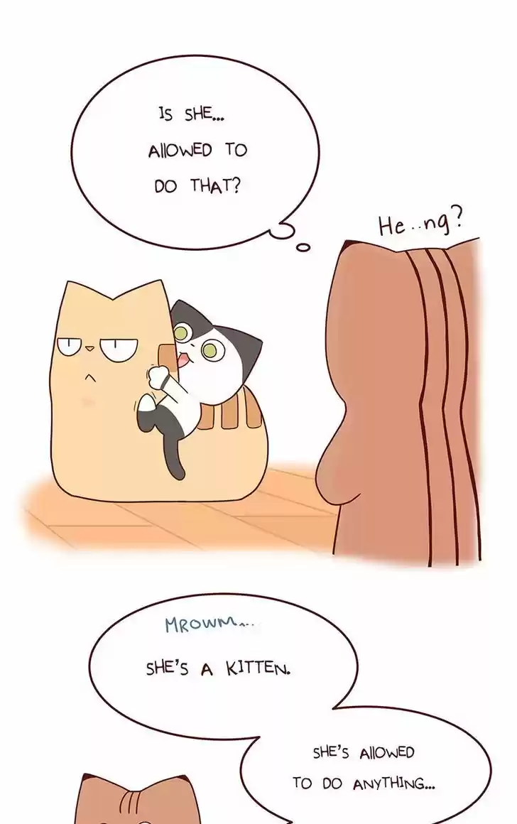 Saphie: The One-Eyed Cat 41