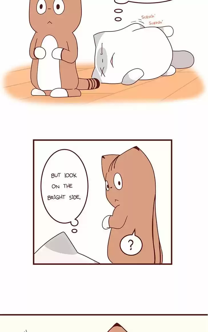 Saphie: The One-Eyed Cat 41