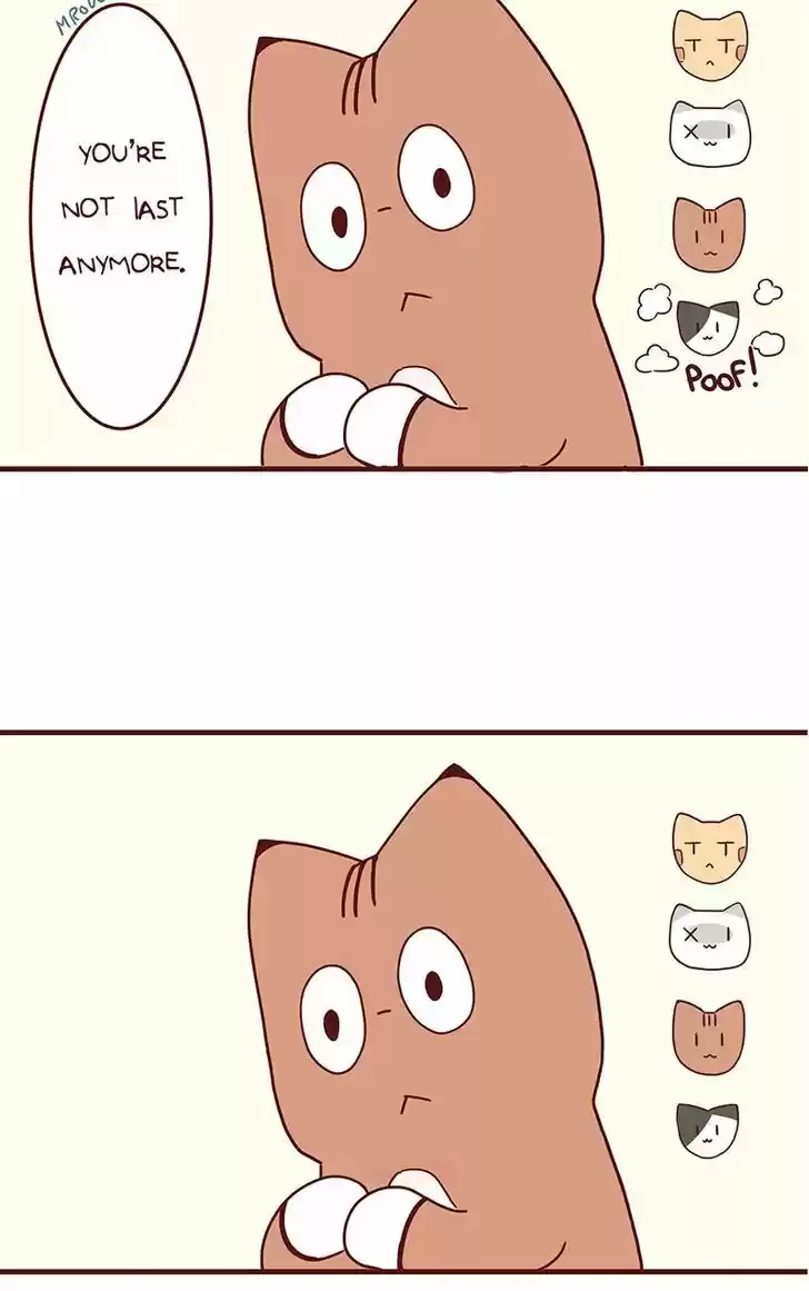 Saphie: The One-Eyed Cat 41