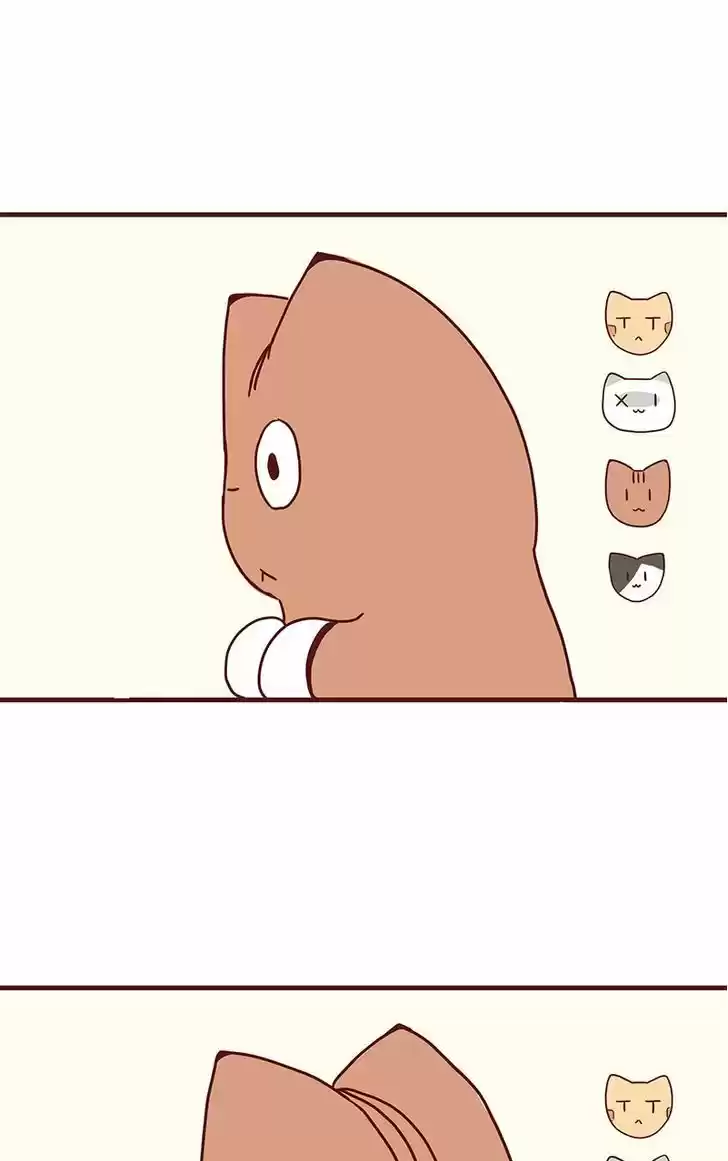 Saphie: The One-Eyed Cat 41