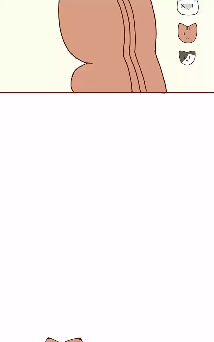 Saphie: The One-Eyed Cat 41