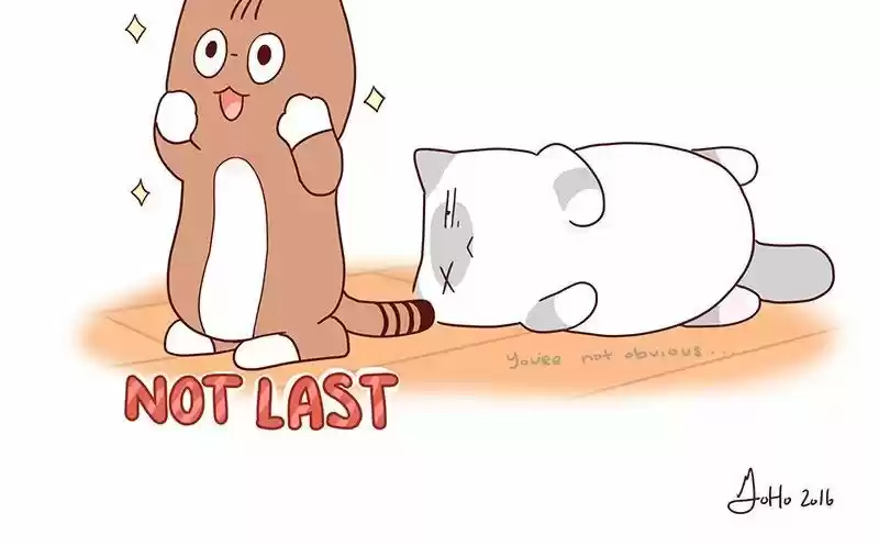 Saphie: The One-Eyed Cat 41