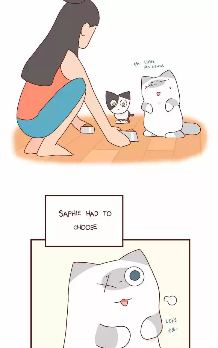 Saphie: The One-Eyed Cat 42