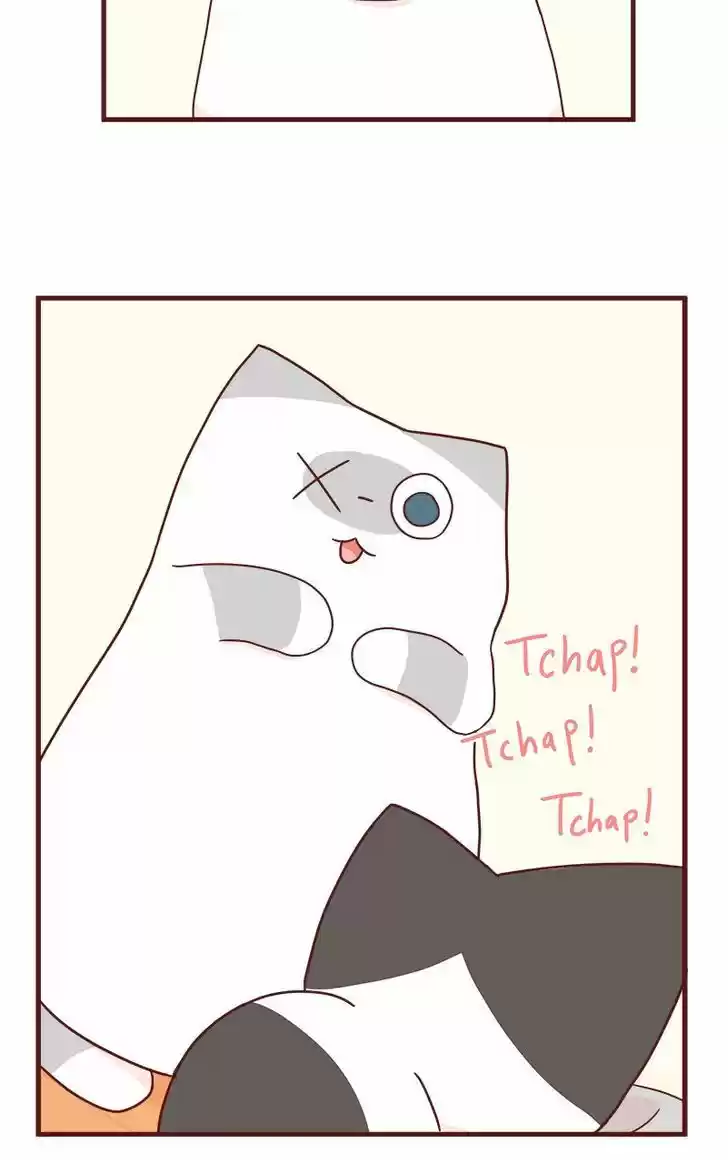 Saphie: The One-Eyed Cat 42