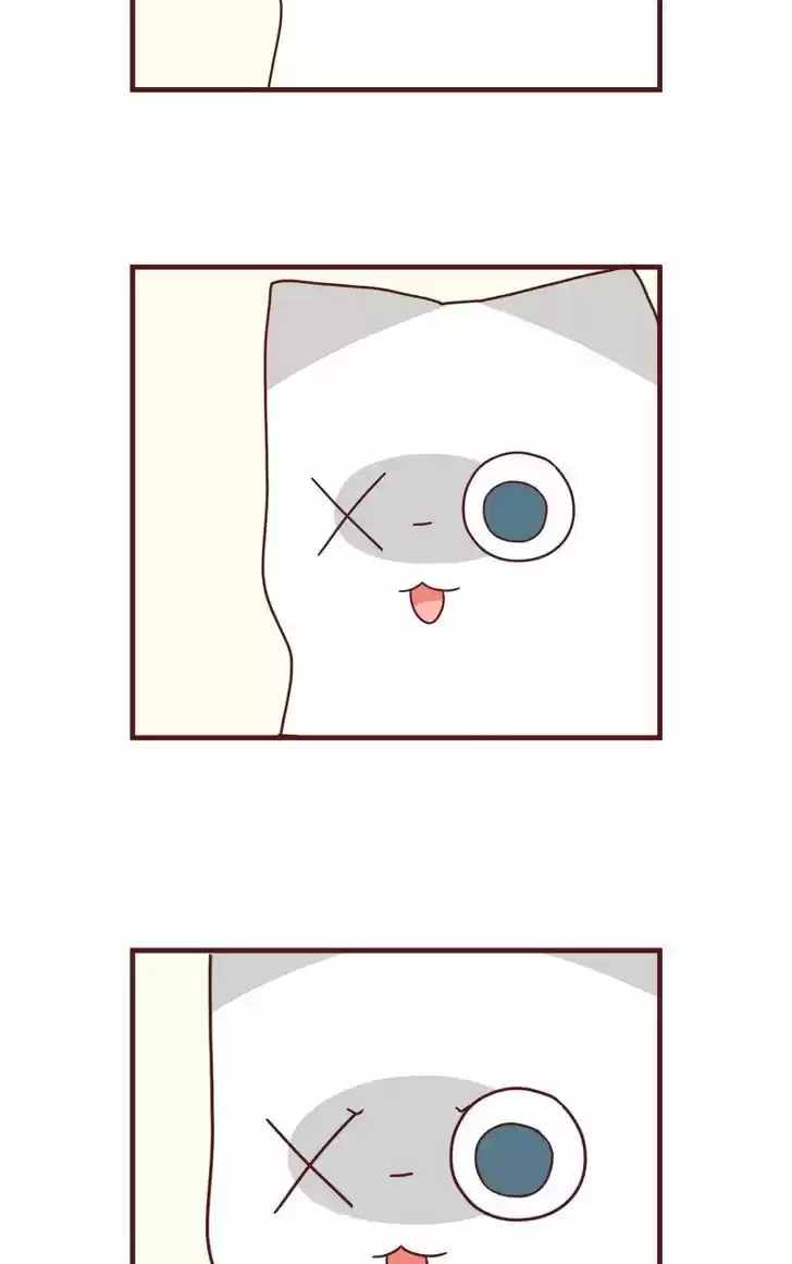 Saphie: The One-Eyed Cat 42