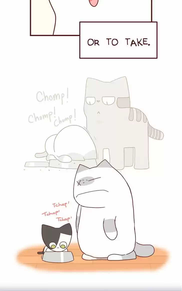 Saphie: The One-Eyed Cat 42