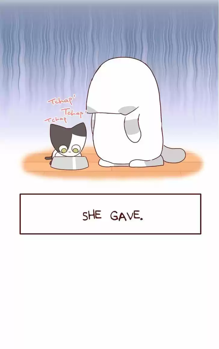 Saphie: The One-Eyed Cat 42