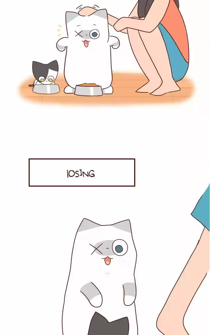 Saphie: The One-Eyed Cat 42