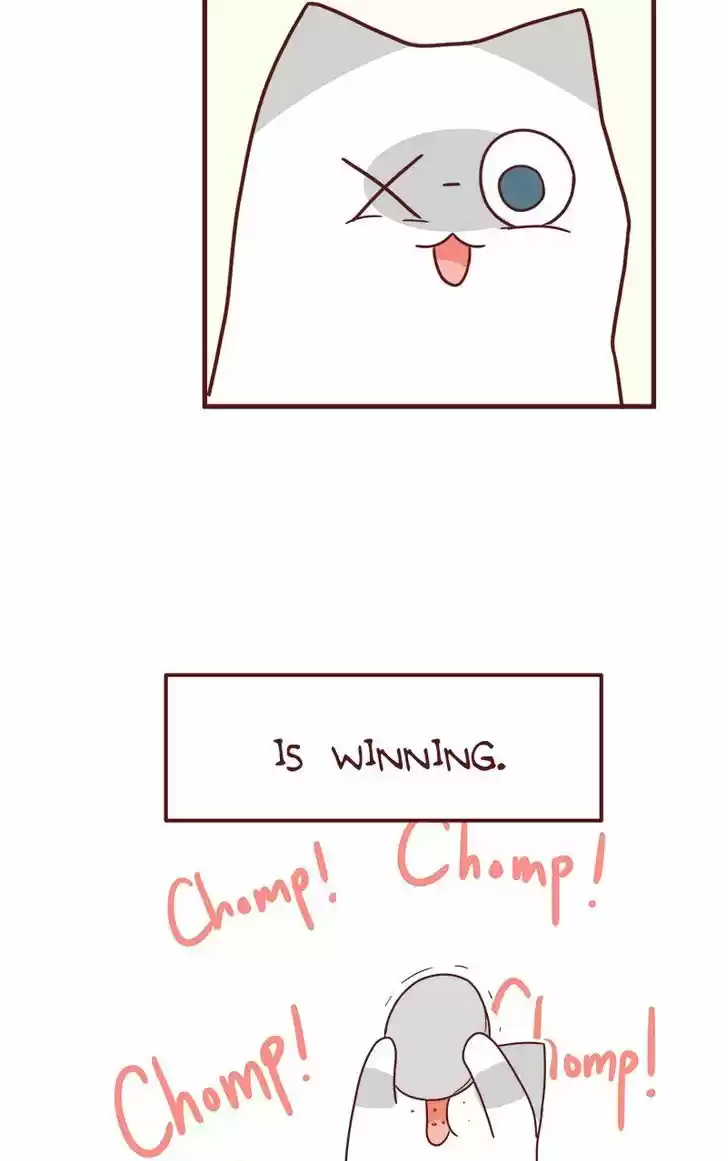 Saphie: The One-Eyed Cat 42