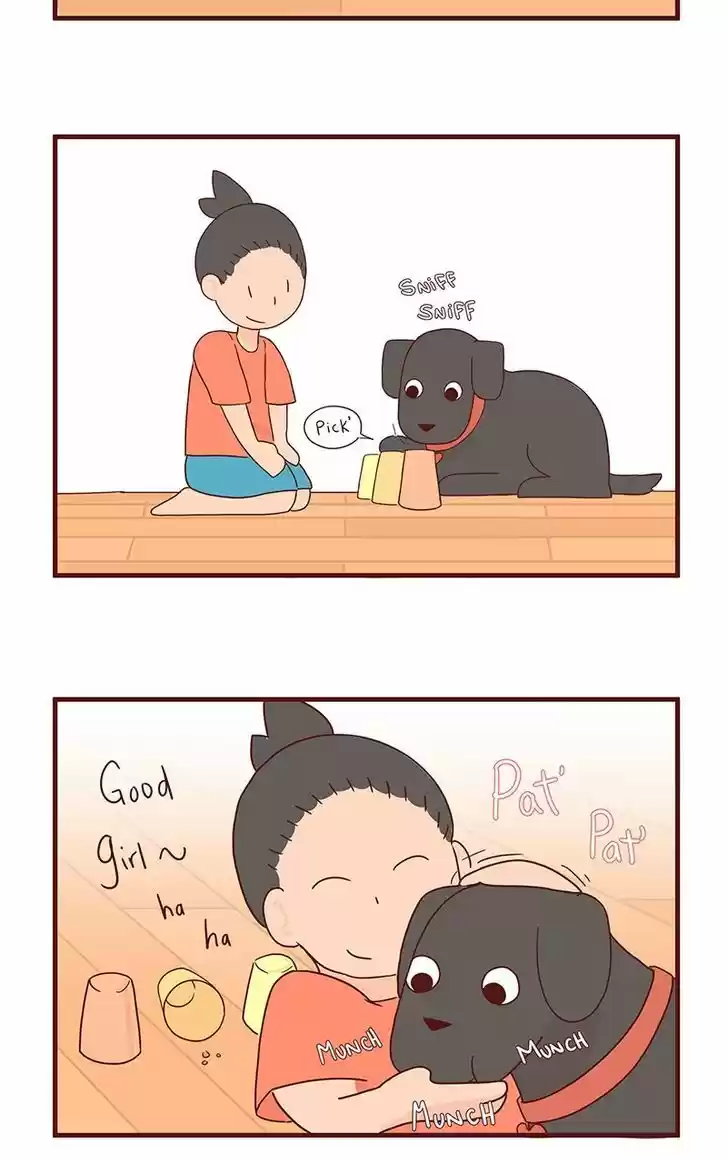 Saphie: The One-Eyed Cat 43