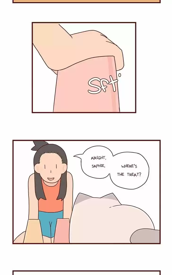 Saphie: The One-Eyed Cat 43