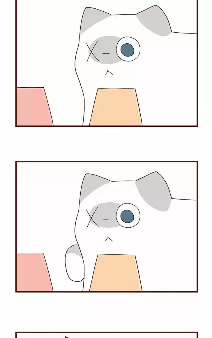 Saphie: The One-Eyed Cat 43