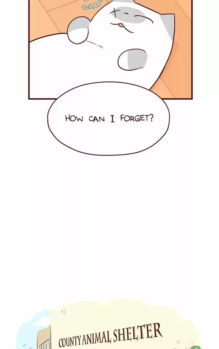 Saphie: The One-Eyed Cat 44