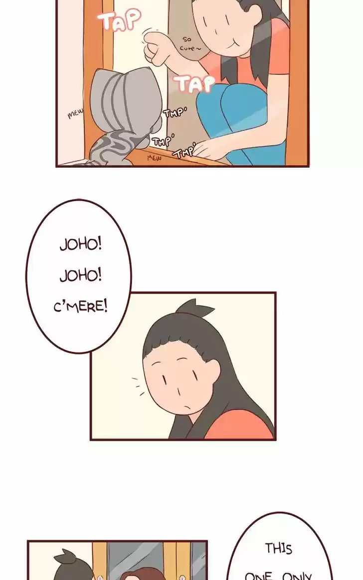 Saphie: The One-Eyed Cat 45