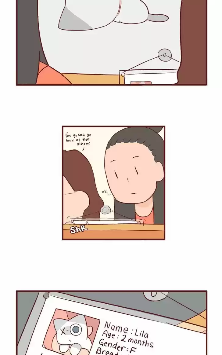 Saphie: The One-Eyed Cat 45