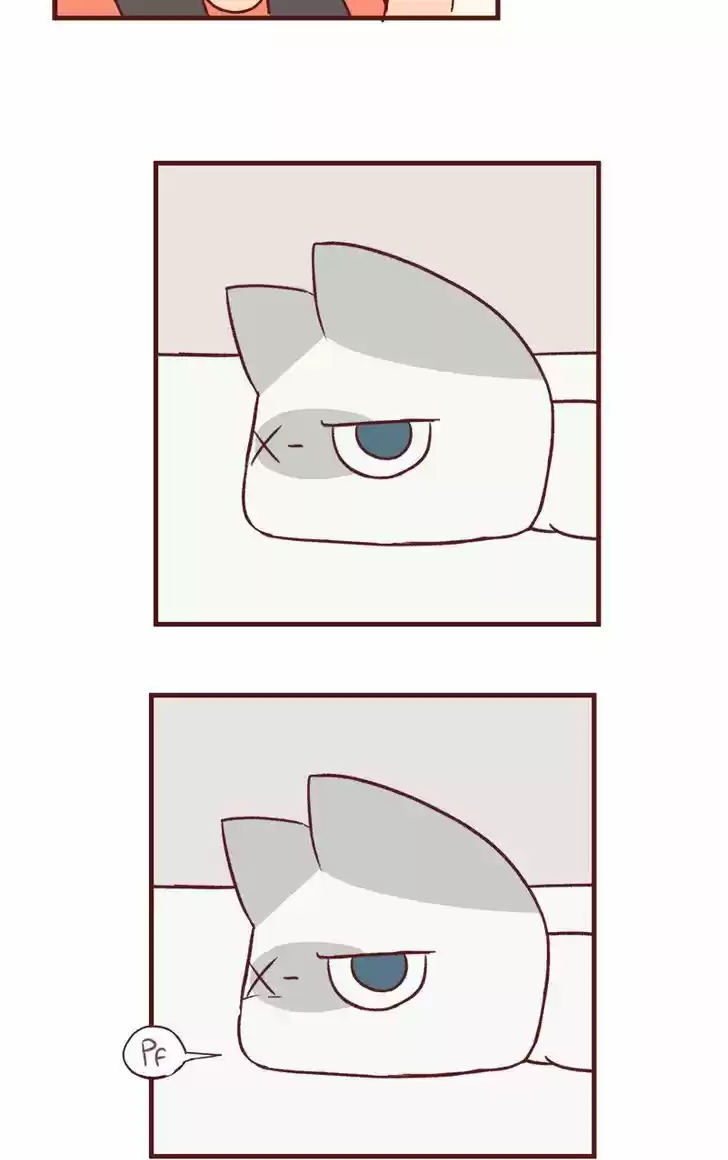 Saphie: The One-Eyed Cat 45