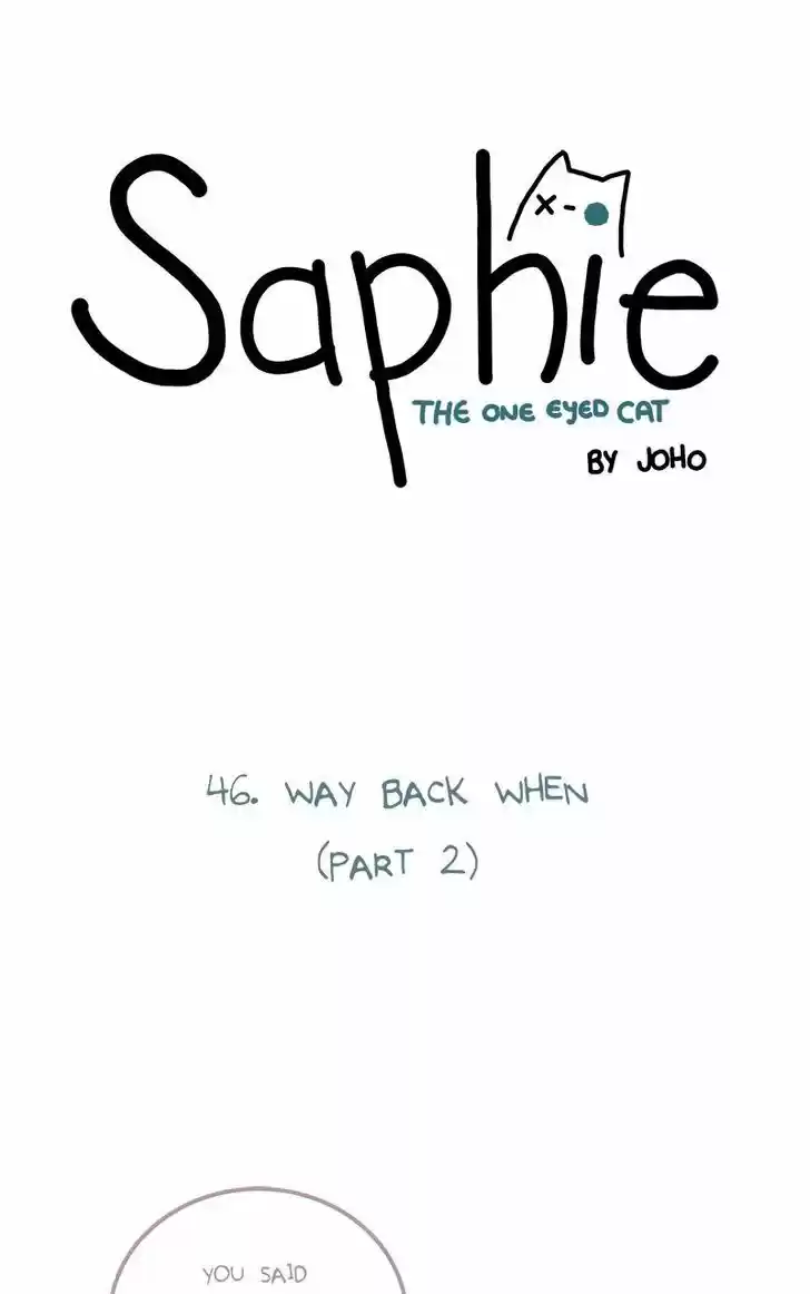 Saphie: The One-Eyed Cat 46