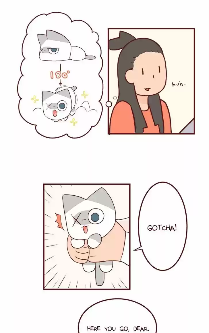 Saphie: The One-Eyed Cat 46