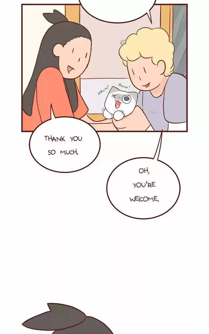 Saphie: The One-Eyed Cat 46