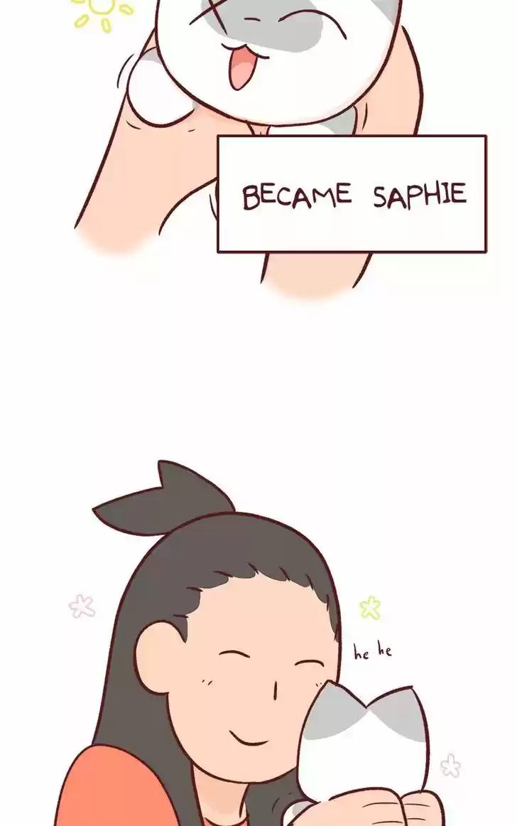 Saphie: The One-Eyed Cat 46