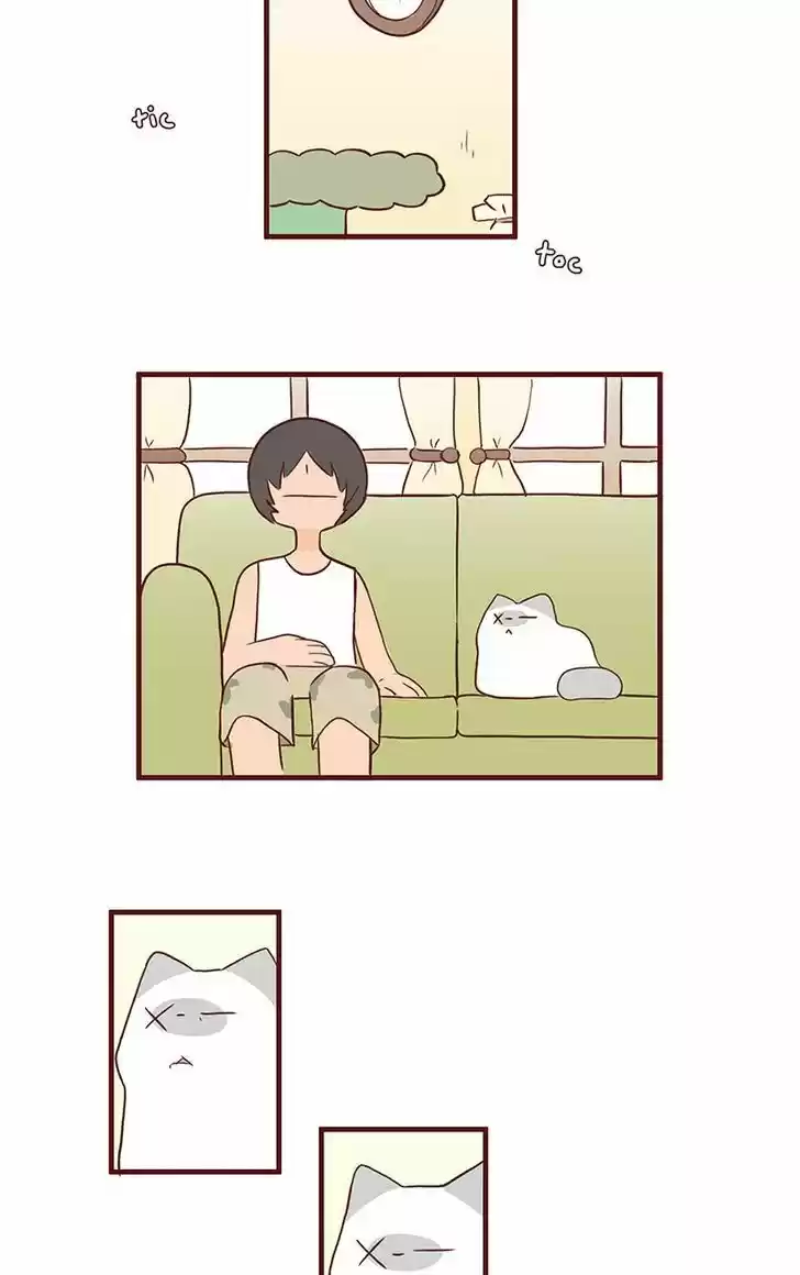 Saphie: The One-Eyed Cat 47