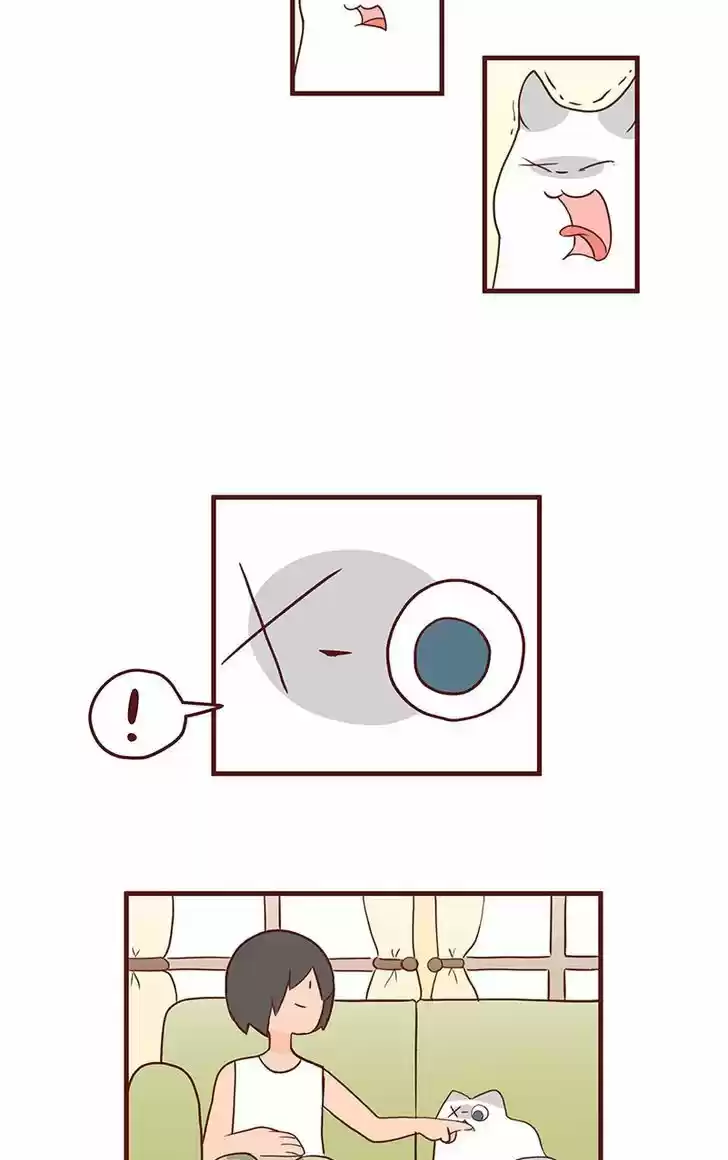 Saphie: The One-Eyed Cat 47