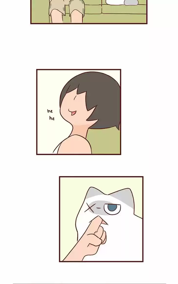 Saphie: The One-Eyed Cat 47