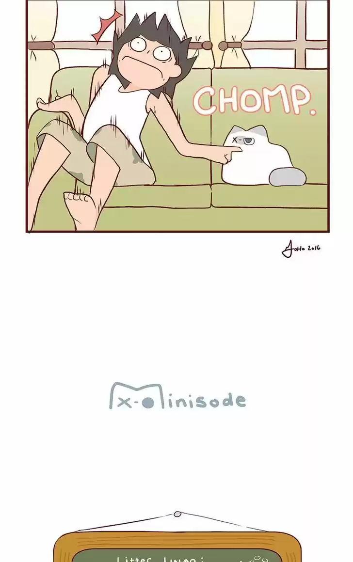 Saphie: The One-Eyed Cat 47