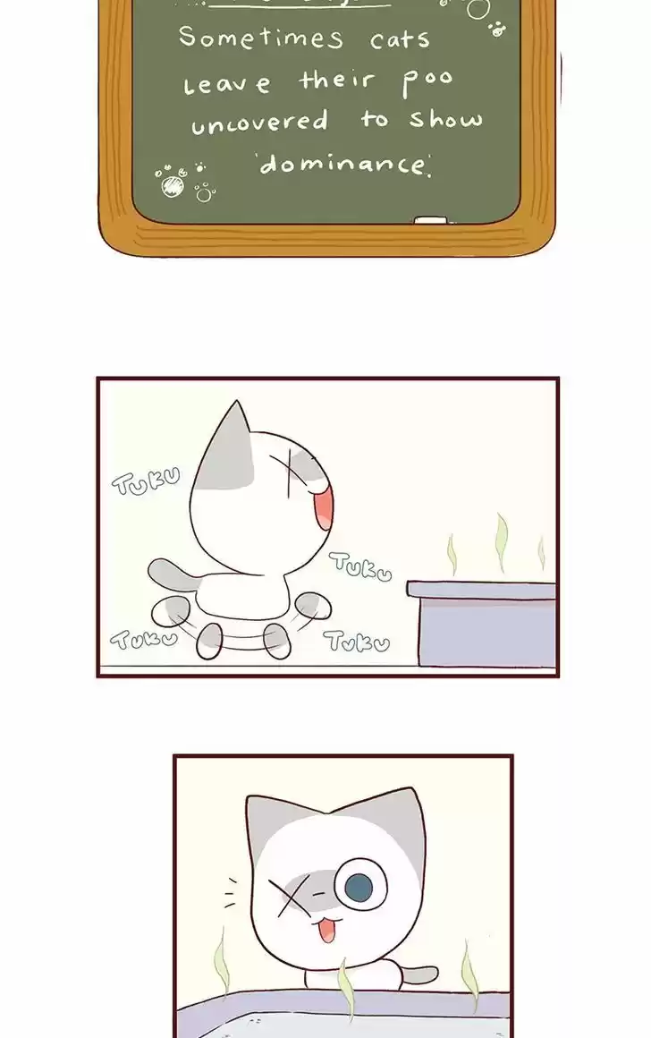 Saphie: The One-Eyed Cat 47