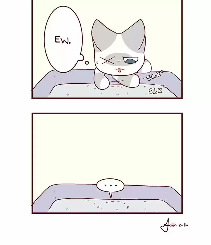 Saphie: The One-Eyed Cat 47