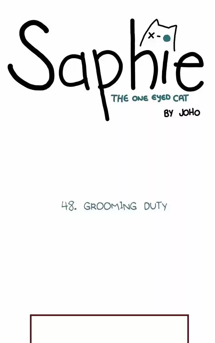 Saphie: The One-Eyed Cat 48