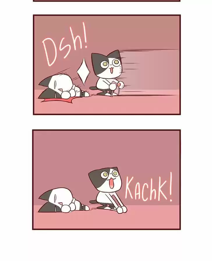 Saphie: The One-Eyed Cat 48