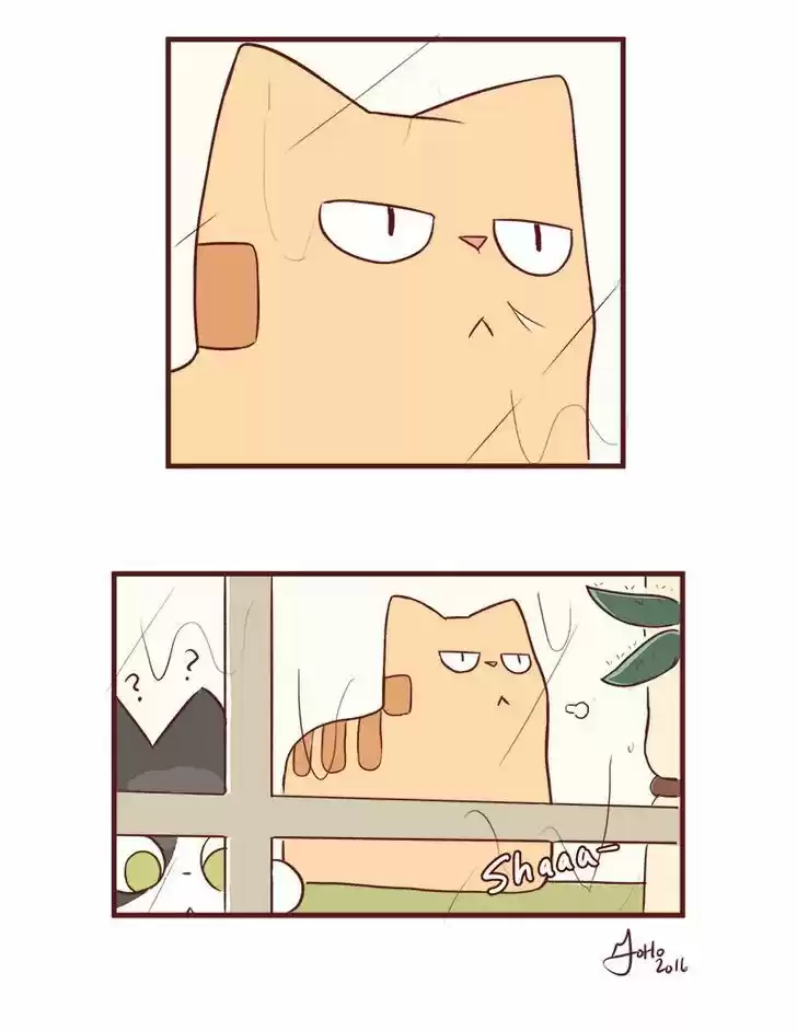 Saphie: The One-Eyed Cat 49