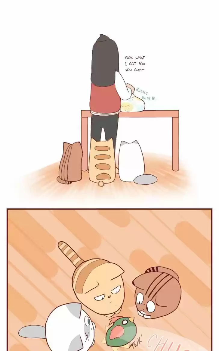 Saphie: The One-Eyed Cat 5