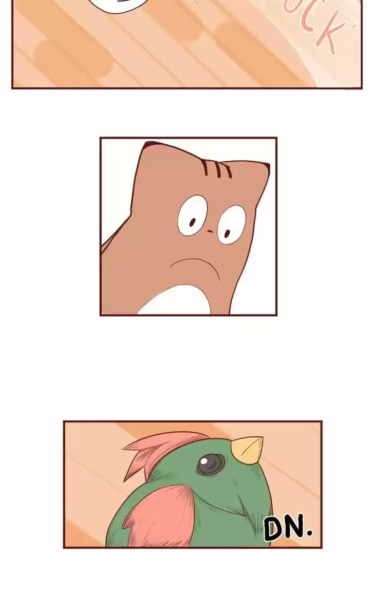 Saphie: The One-Eyed Cat 5