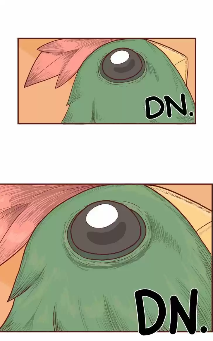 Saphie: The One-Eyed Cat 5