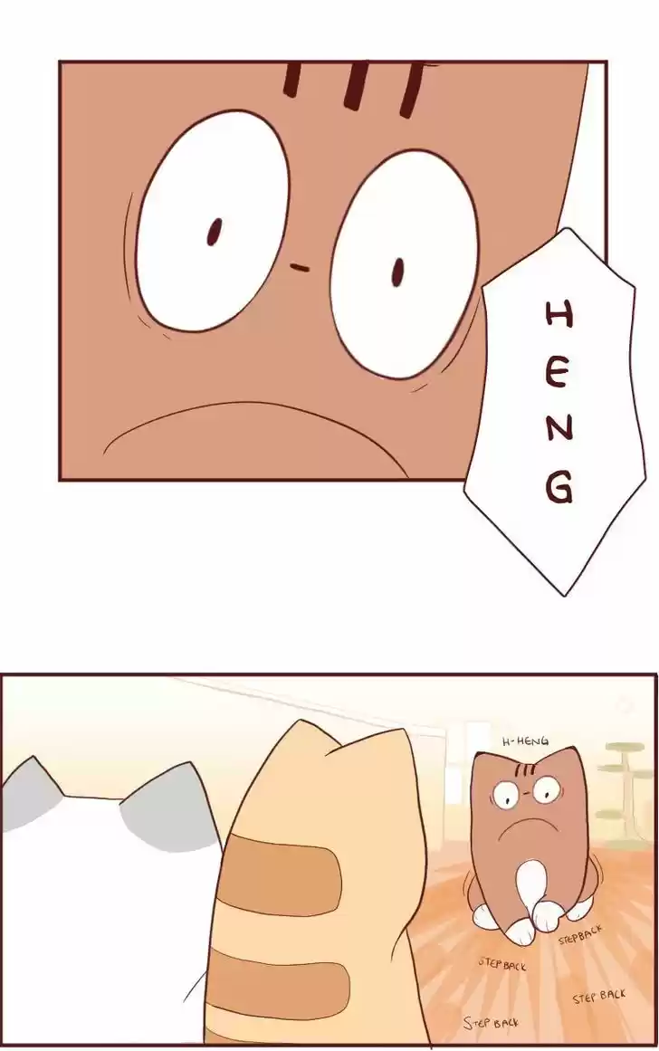 Saphie: The One-Eyed Cat 5