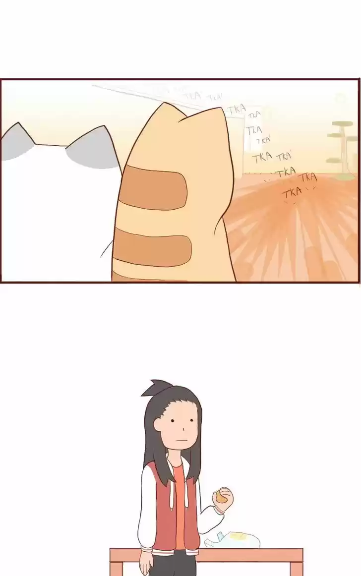 Saphie: The One-Eyed Cat 5