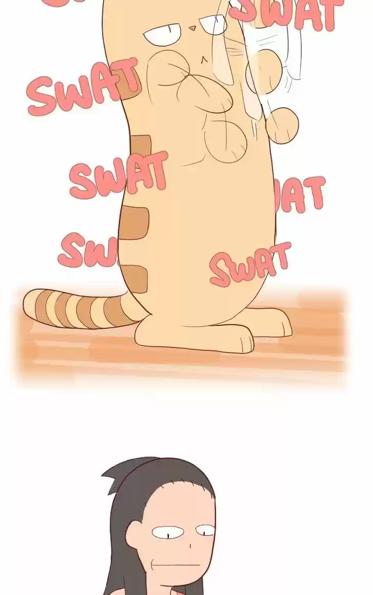 Saphie: The One-Eyed Cat 5