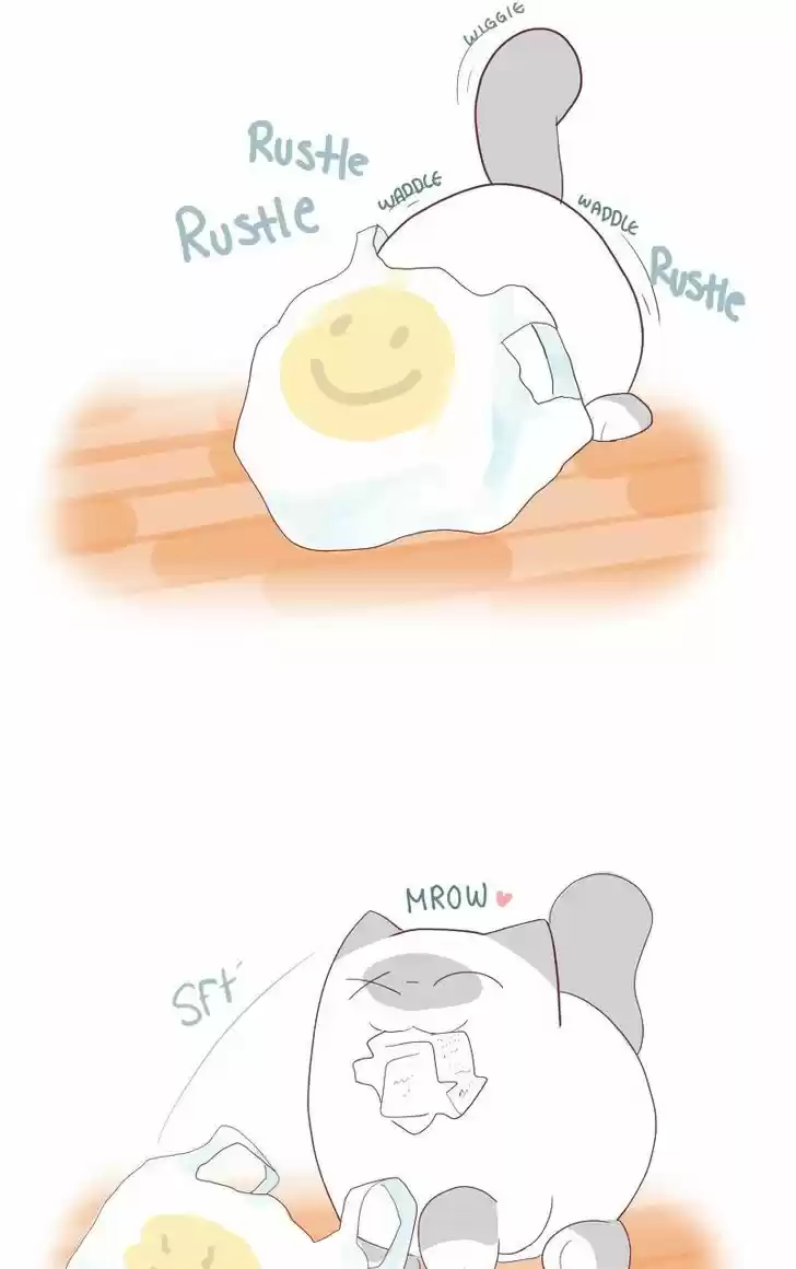 Saphie: The One-Eyed Cat 5