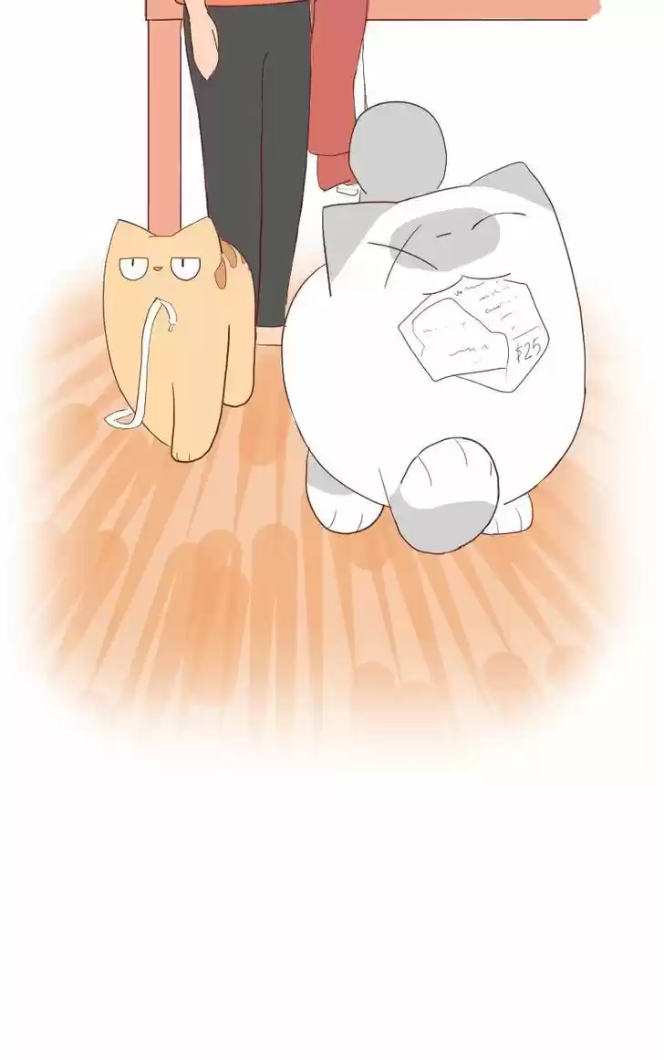 Saphie: The One-Eyed Cat 5