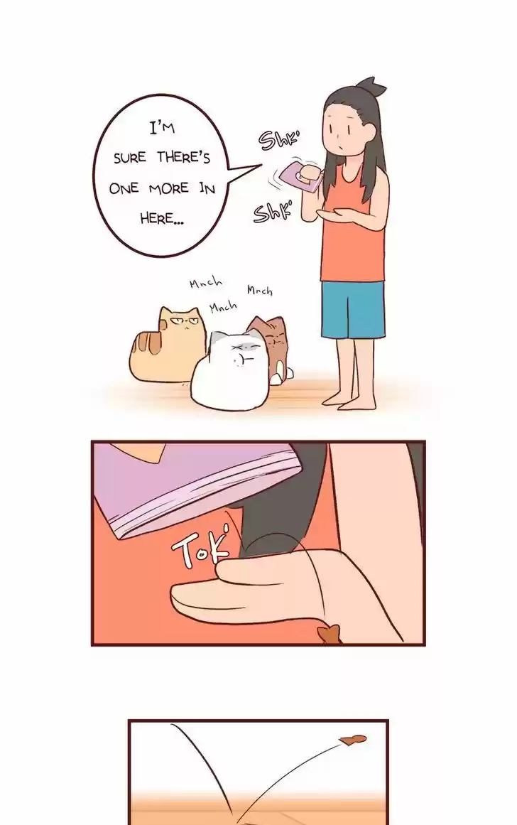 Saphie: The One-Eyed Cat 50