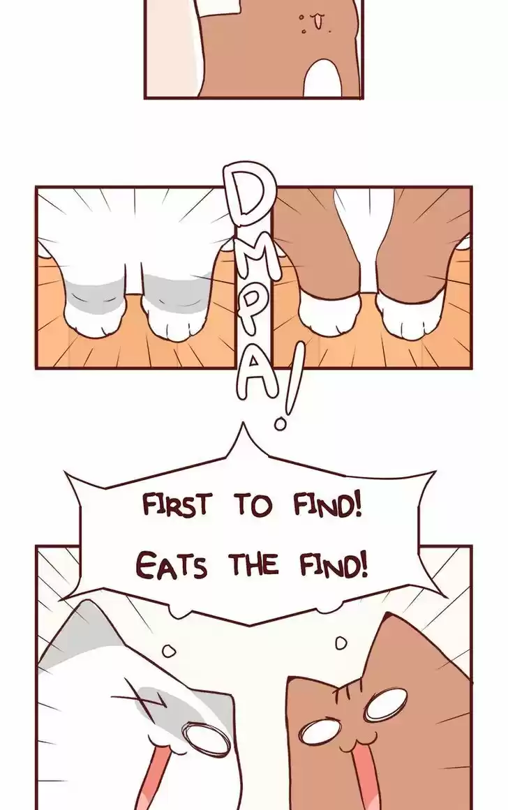 Saphie: The One-Eyed Cat 50