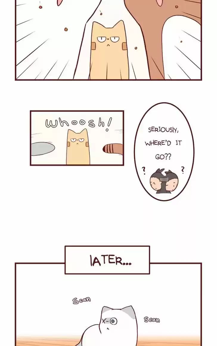 Saphie: The One-Eyed Cat 50