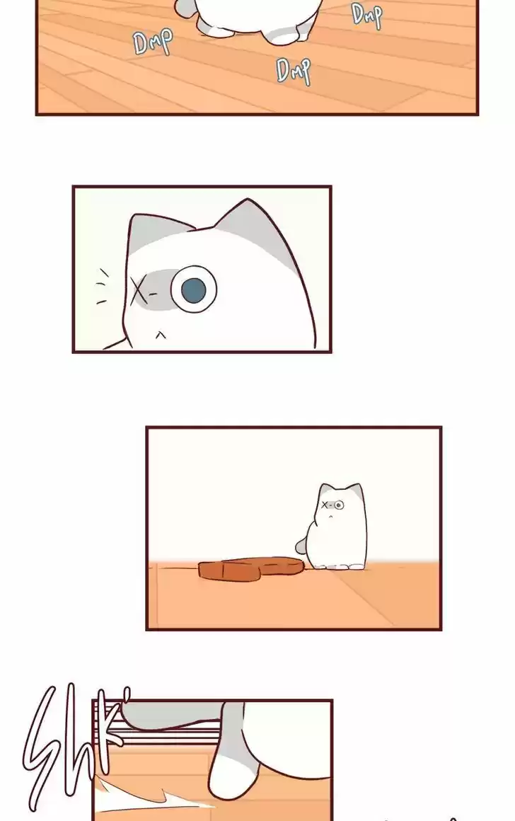 Saphie: The One-Eyed Cat 50