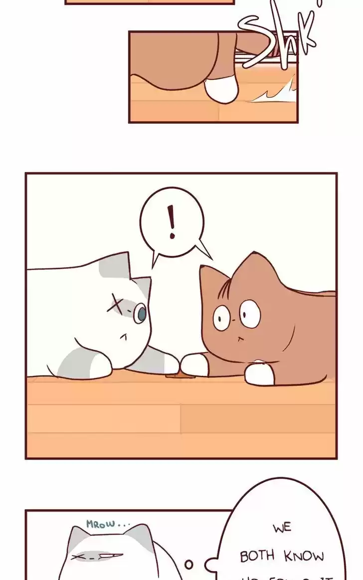 Saphie: The One-Eyed Cat 50