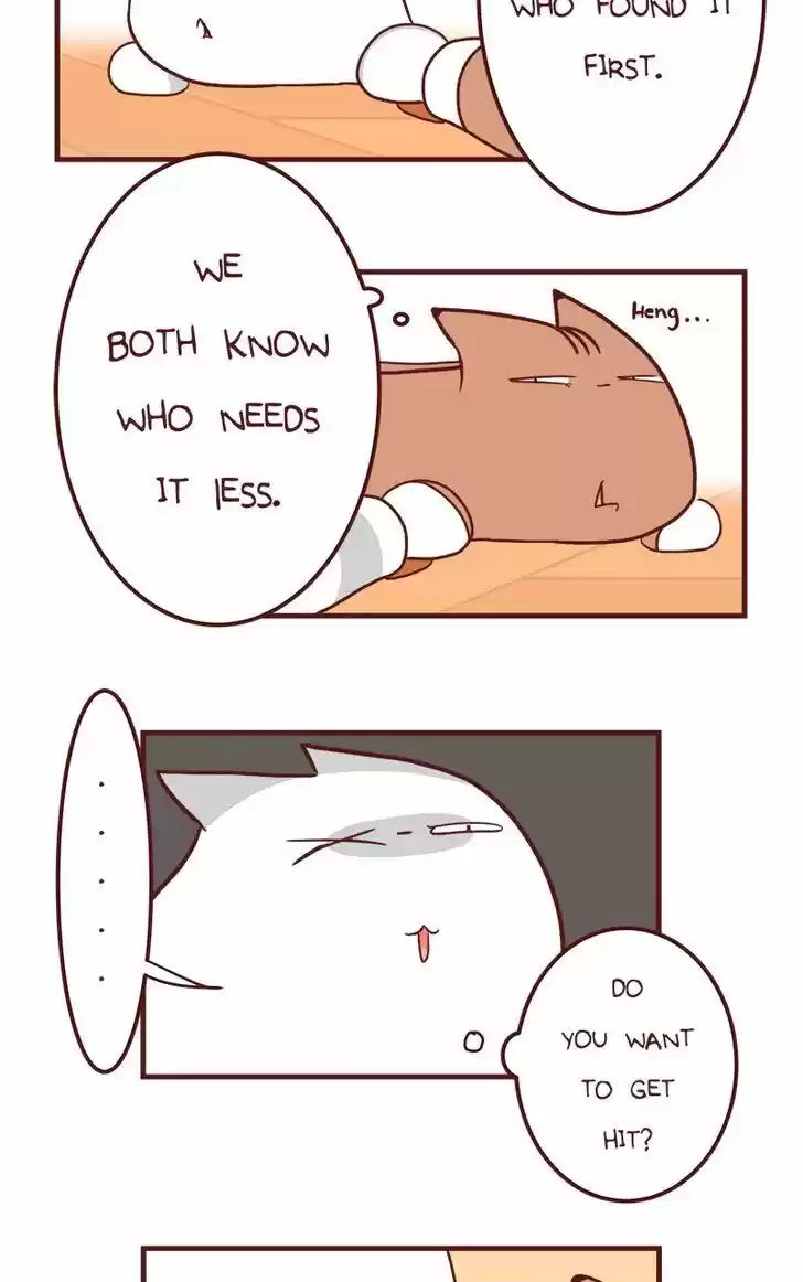 Saphie: The One-Eyed Cat 50