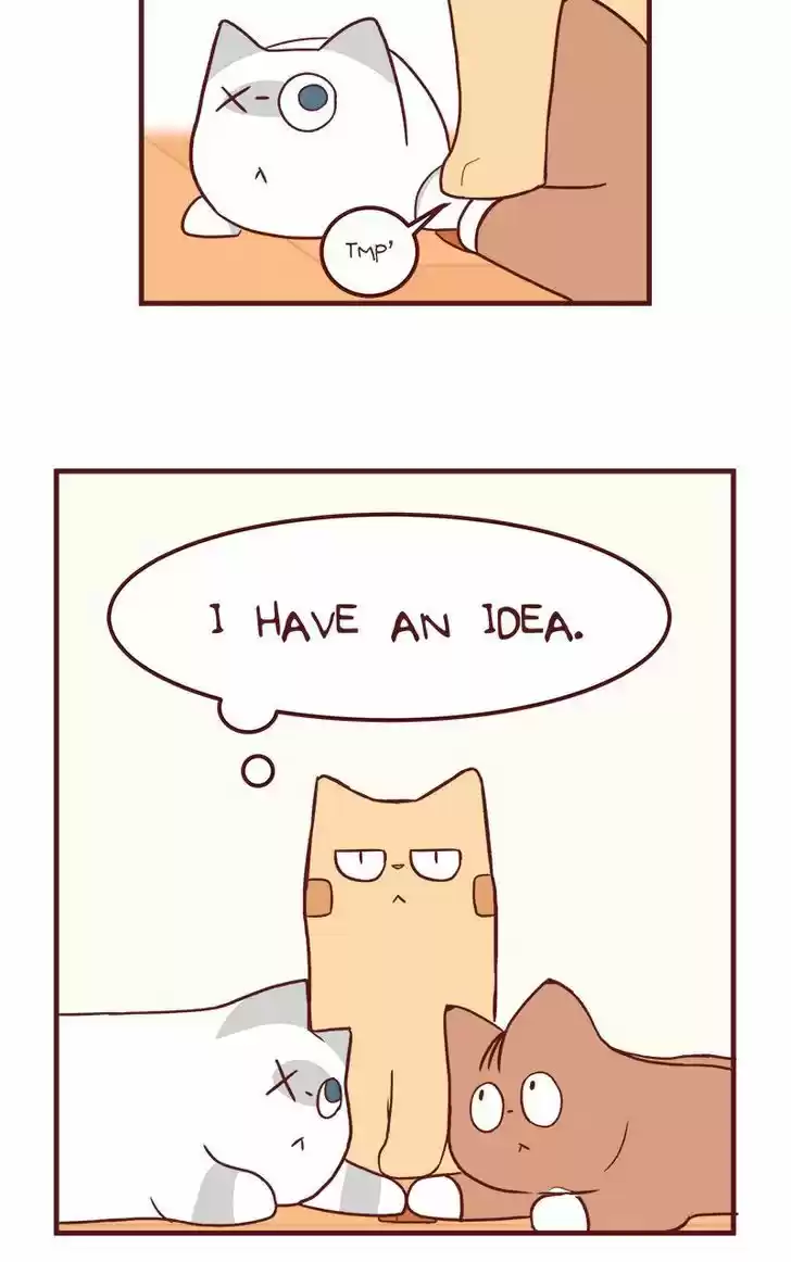 Saphie: The One-Eyed Cat 50